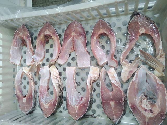 image of carp fish